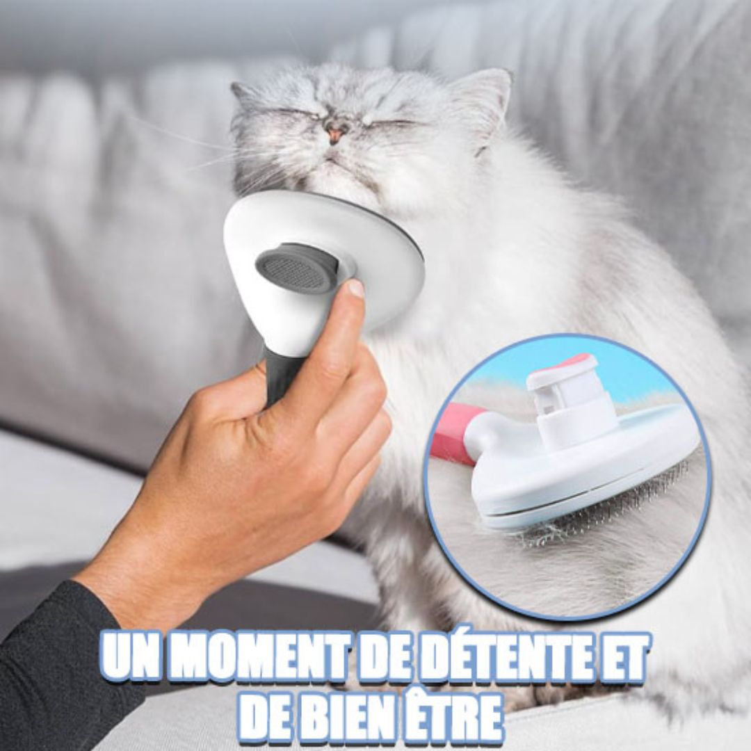 Brosse Chat | BounouCats™ - L'avenir des chats