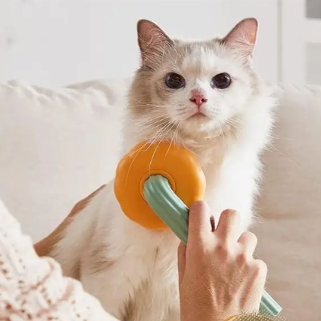 Brosse pour chat | CitroCat™ - L'avenir des chats