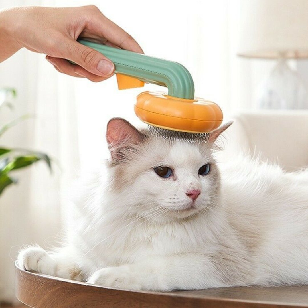 Brosse pour chat | CitroCat™ - L'avenir des chats