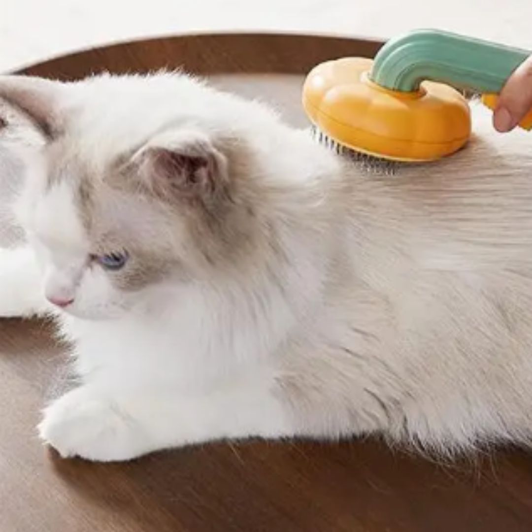 Brosse pour chat | CitroCat™ - L'avenir des chats