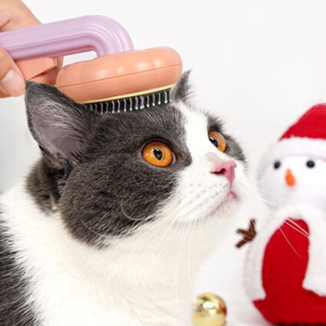 Brosse pour chat | CitroCat™ - L'avenir des chats