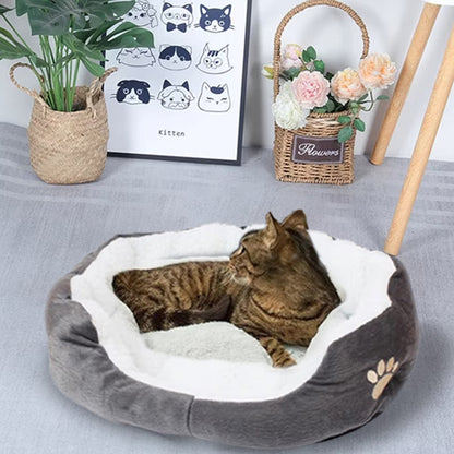 chat panier moelleux panouacats