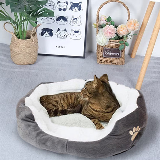 chat panier moelleux panouacats