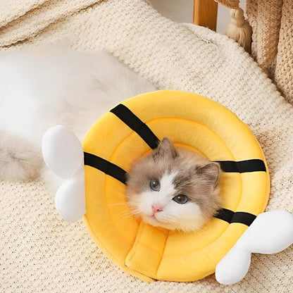 Collerette Chat | AbeicoCats™ - L'avenir des chats