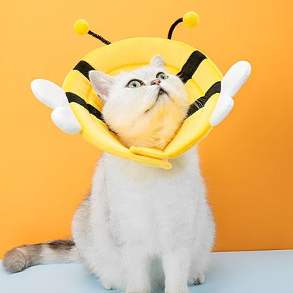 Collerette Chat | AbeicoCats™ - L'avenir des chats