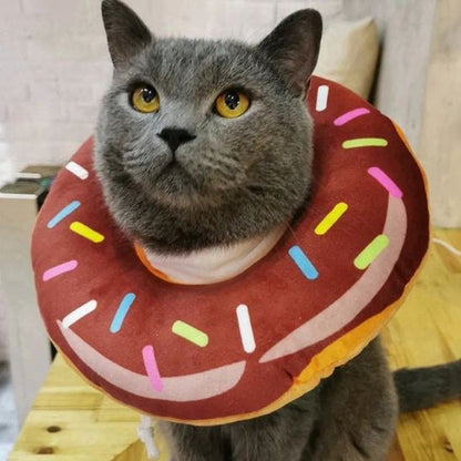 Collerette chat | DonucolCats™ - L'avenir des chats
