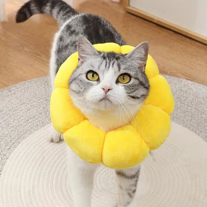 Collerette Chat | TousolCats™ - L'avenir des chats