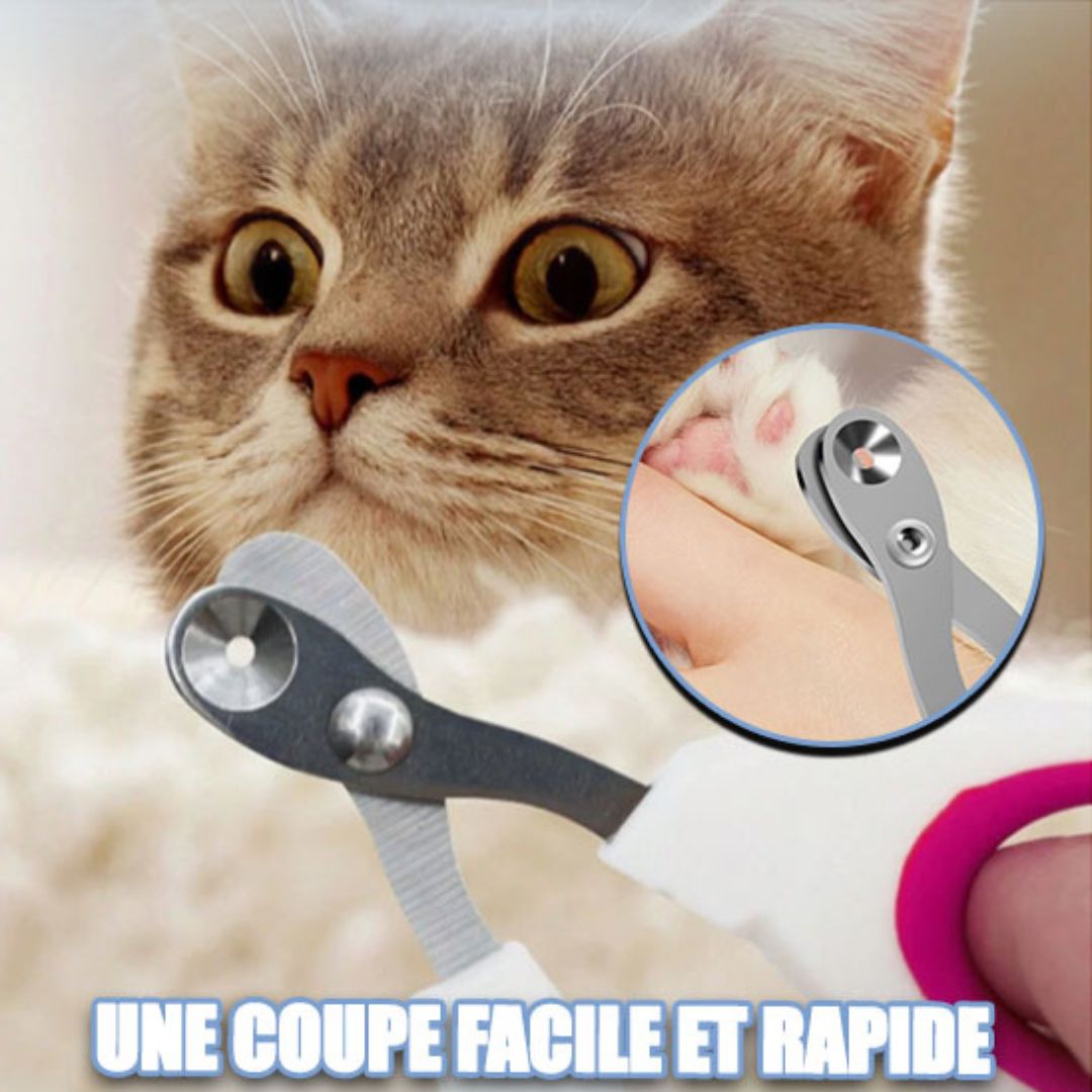 Coupe ongle pour chat | CopiCats™ - L'avenir des chats