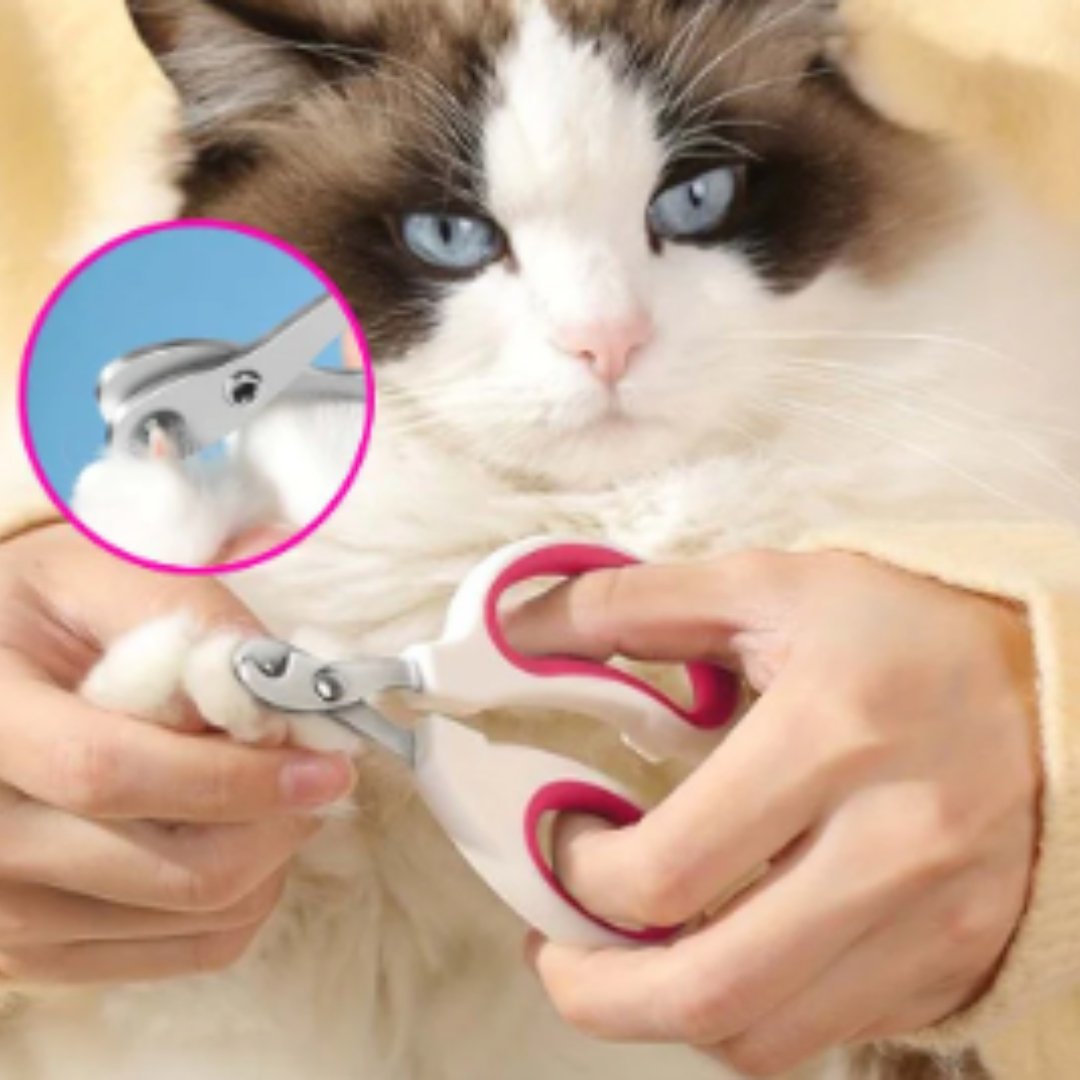 Coupe ongle pour chat | CopiCats™ - L'avenir des chats