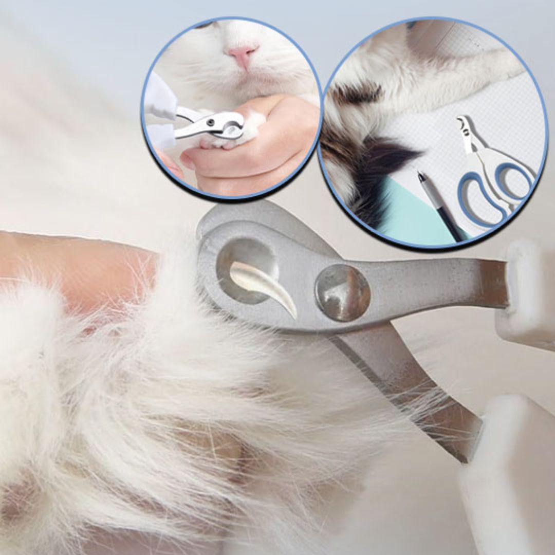 Coupe ongle pour chat | CopiCats™ - L'avenir des chats