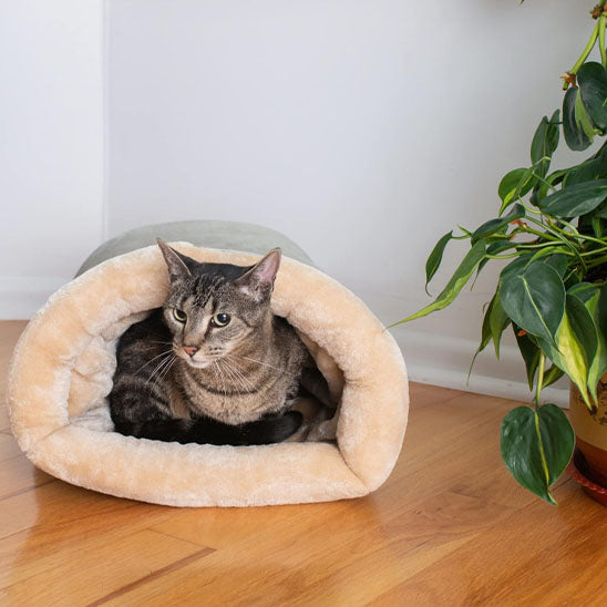coussin a chat apaise