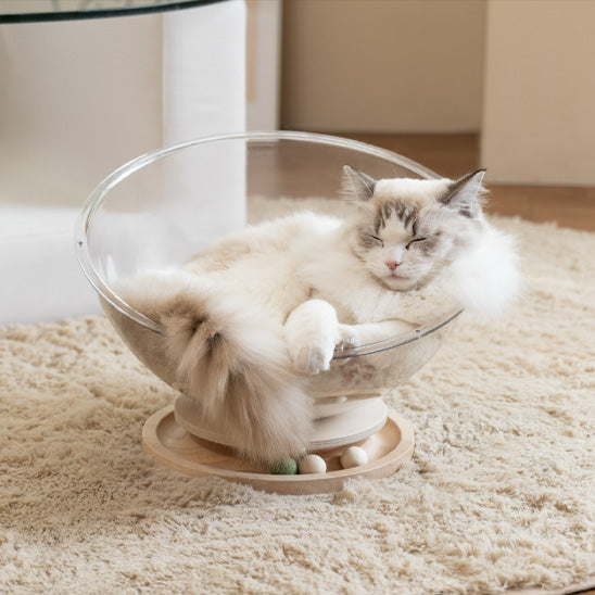 coussin à chat en forme de capsule transparente optima avec un chat qui se repose dedans