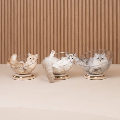 coussin à chat en forme de capsule transparente 360 degrés avec trois chats blanc qui sont en train de se reposer confortablement