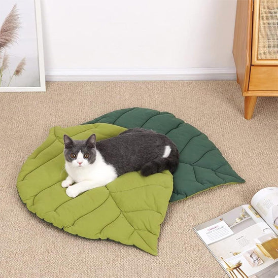 coussin-a-chat-parterre