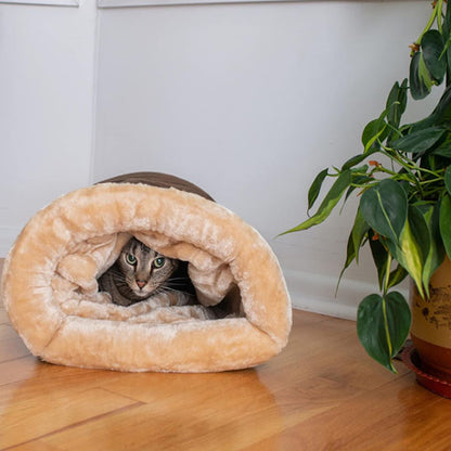 coussin a chat repose