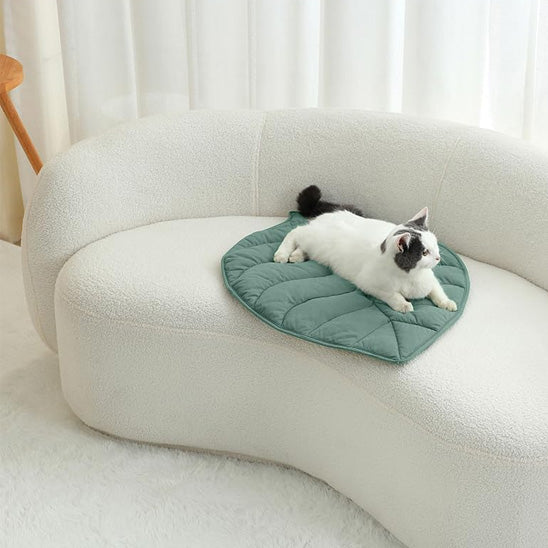 coussin-a-chat-vert-canape