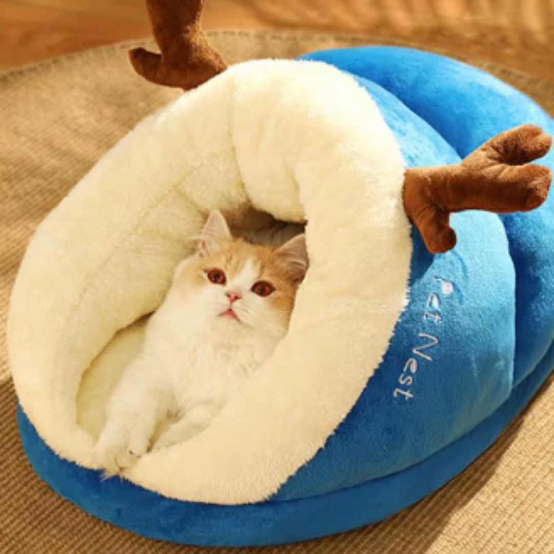 coussin chat bleu avec un chat roux et blanc dedans étant confortable à l'intérieur