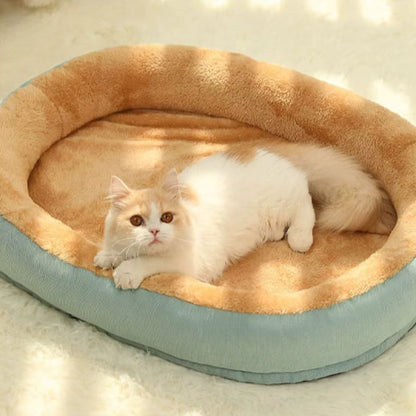 coussin chat orange et bleu au sol avec un chat roux et blanc aux yeux orange posée dedans