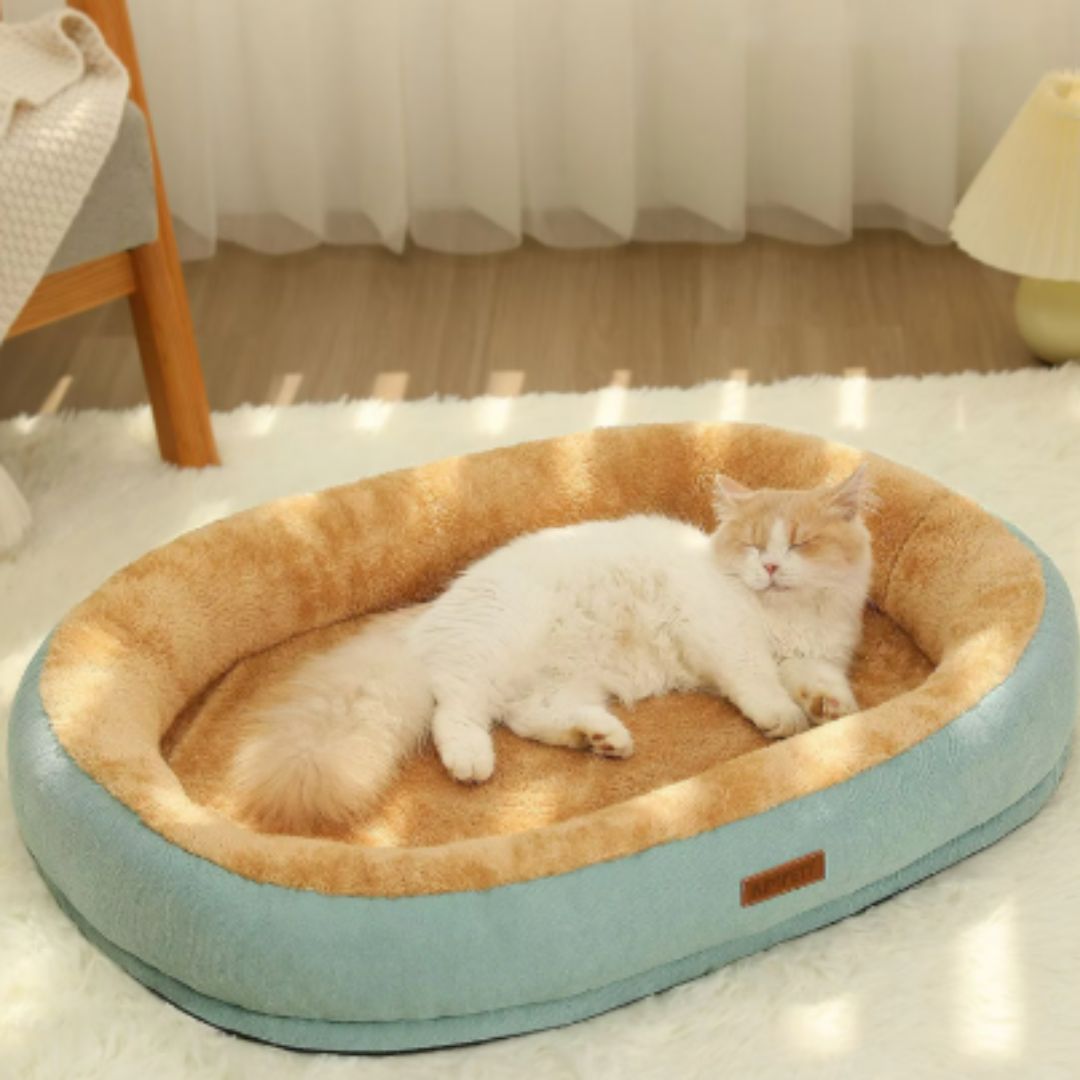 coussin chat orange et bleu avec un chat roux et blanc entrain de se reposer dedans