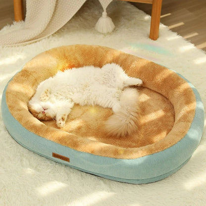 Coussin chat | CousyCats™ - L'avenir des chats