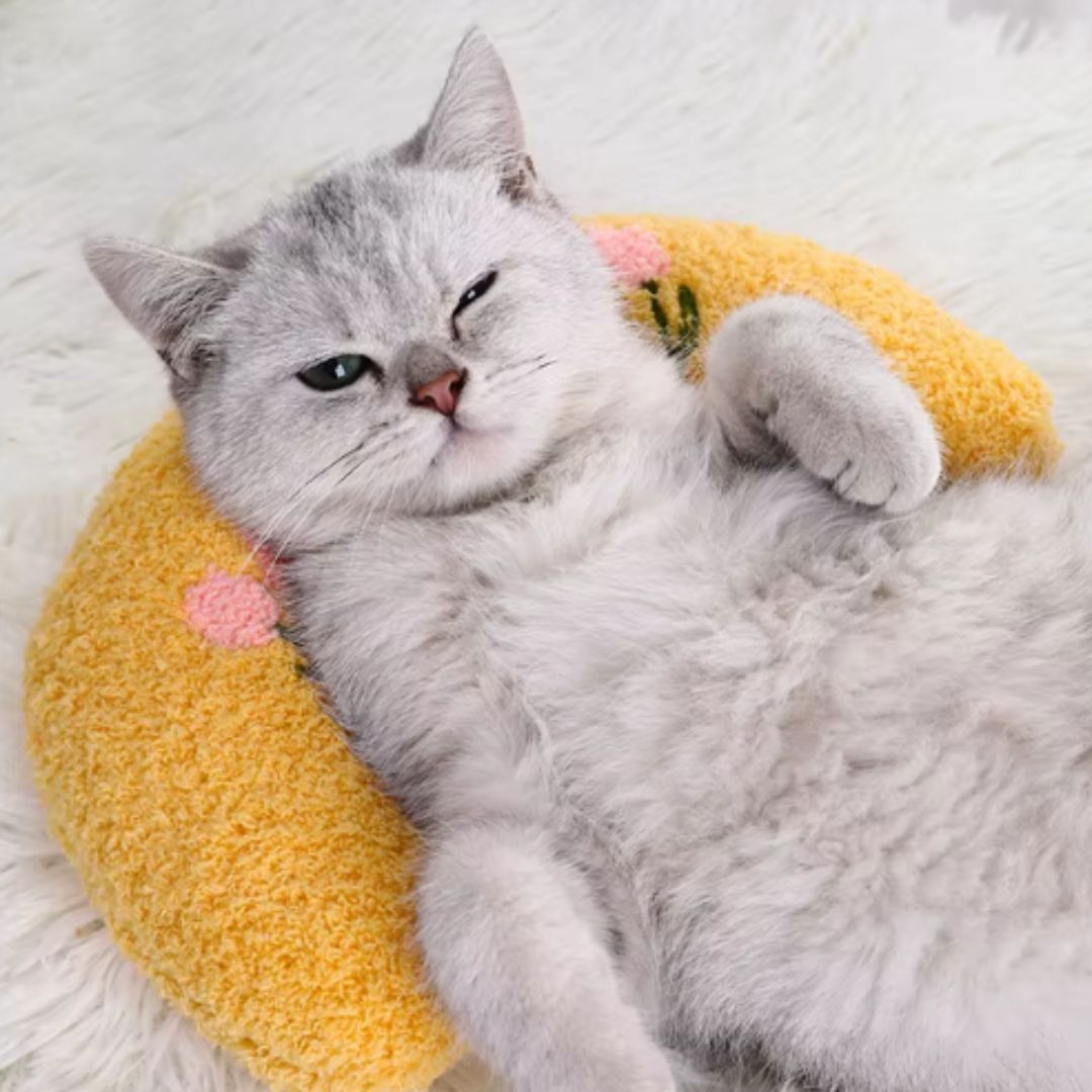 coussin chat en forme de lune de couleur jaune avec un chat allongé sur le dos qui se repose
