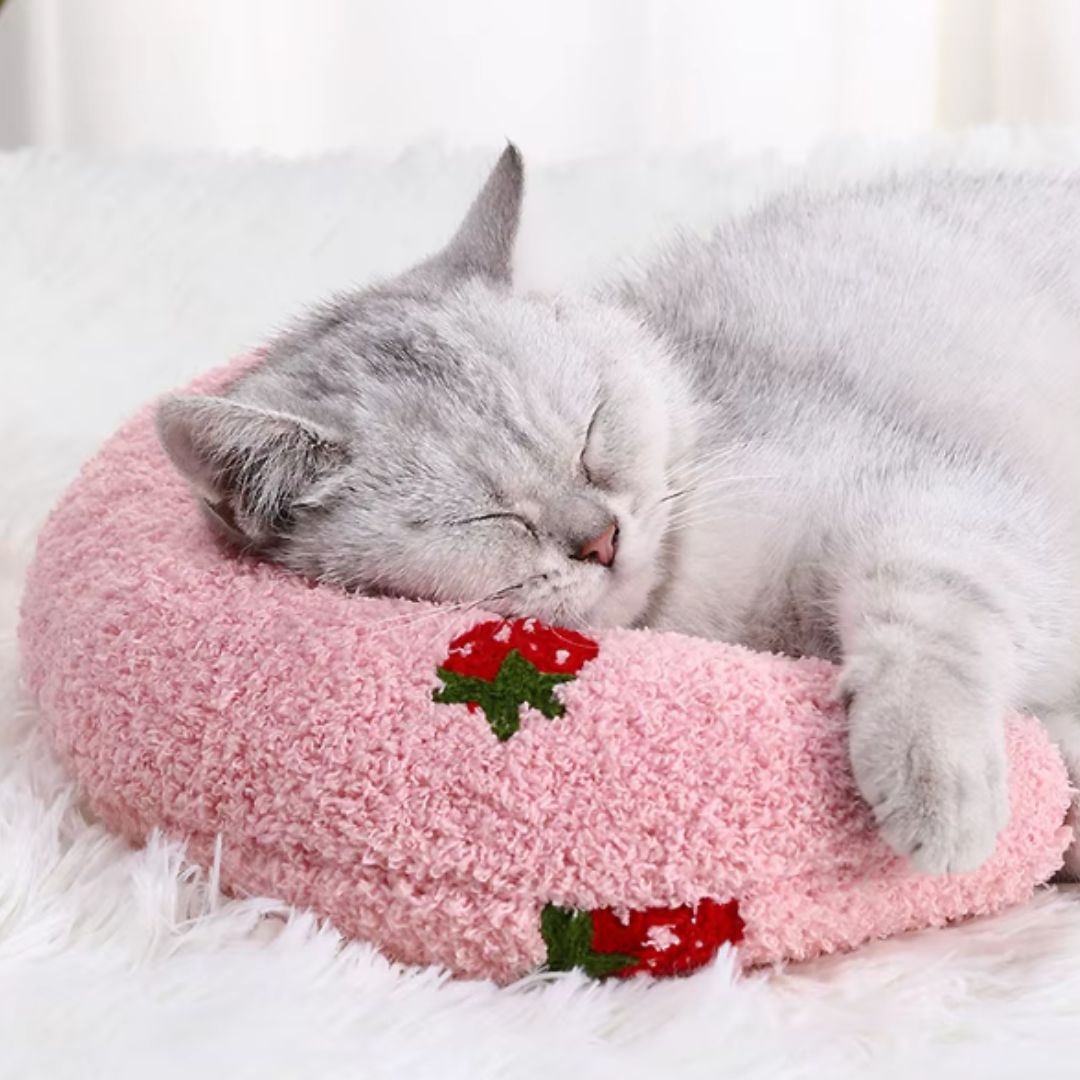 coussin chat en forme de lune rose avec un chat gris qui dort dessus