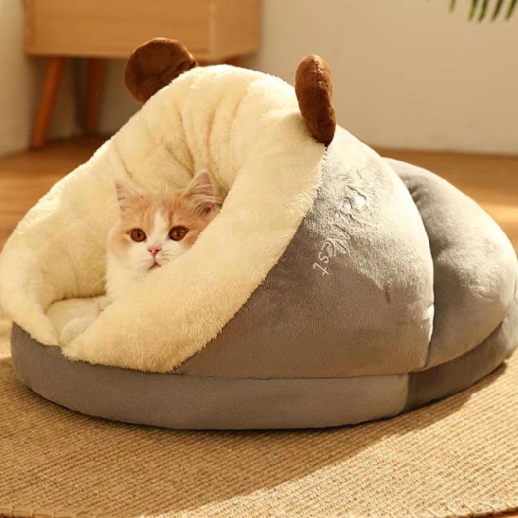 coussin chat gris chat qui se repose dedans