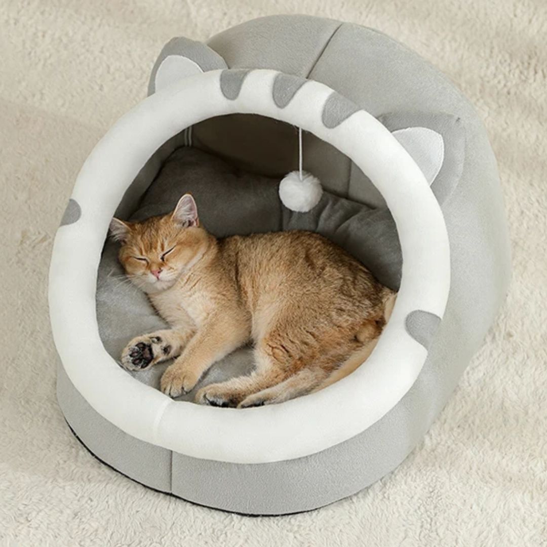 chat qui dort dans un coussin chat en forme de loup gris