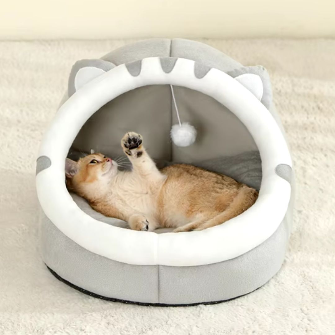 chat qui joue dans le coussin en forme de loup gris