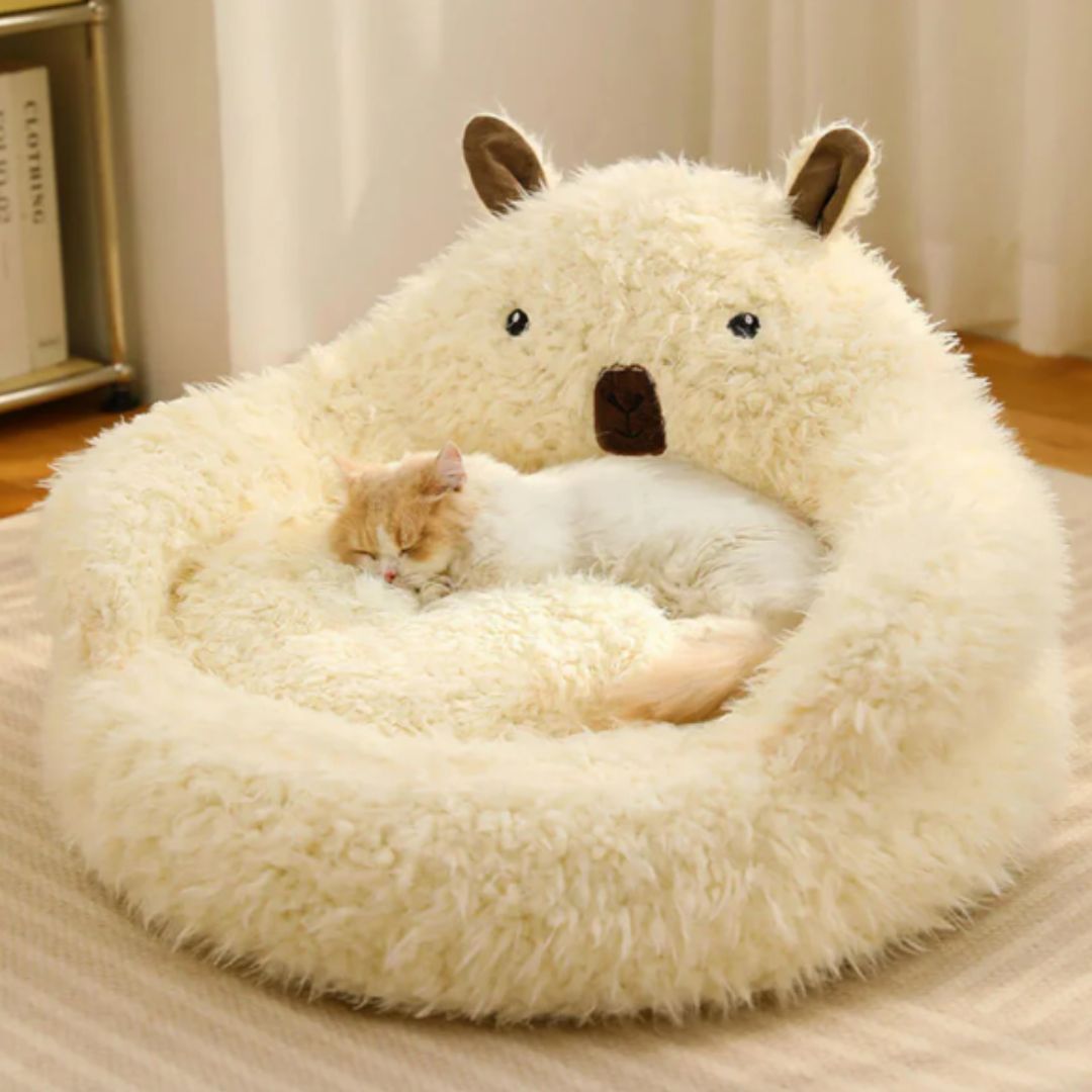 chat qui dort dans le coussin chat peluche blanc 