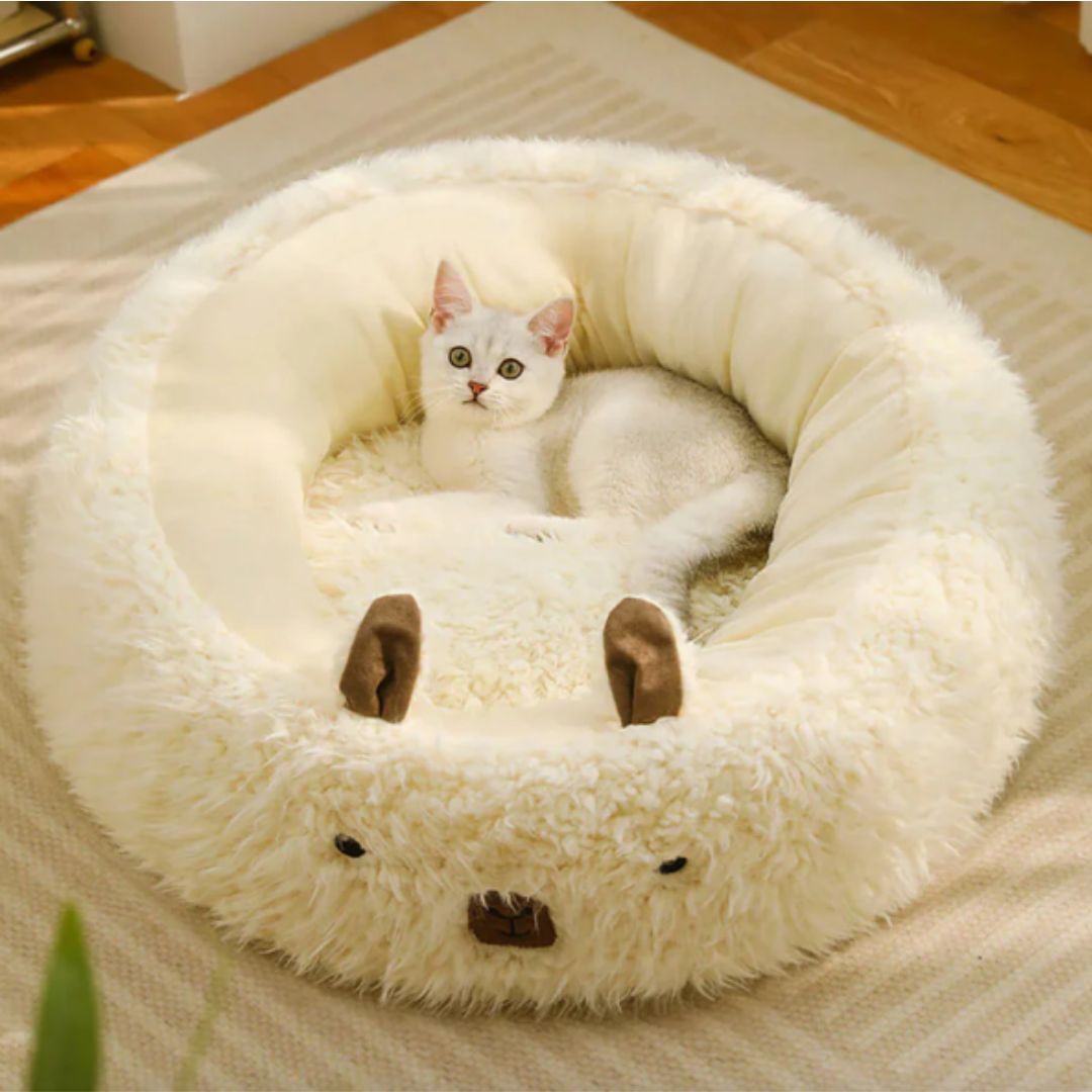chat apaisé dans le coussin rond blanc