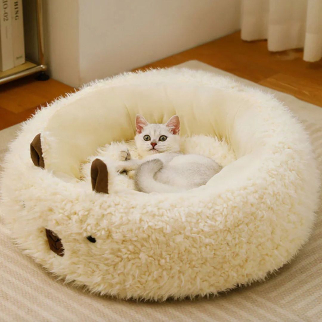 chat qui se repose dans le coussin chat rond blanc 