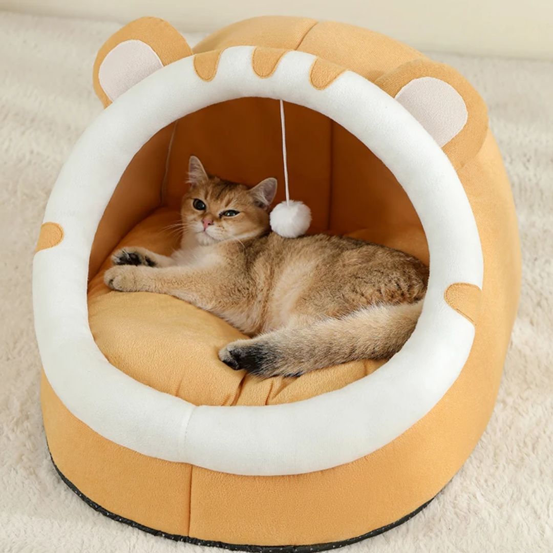 chat se reposant dans un coussin chat en forme de tigre orange