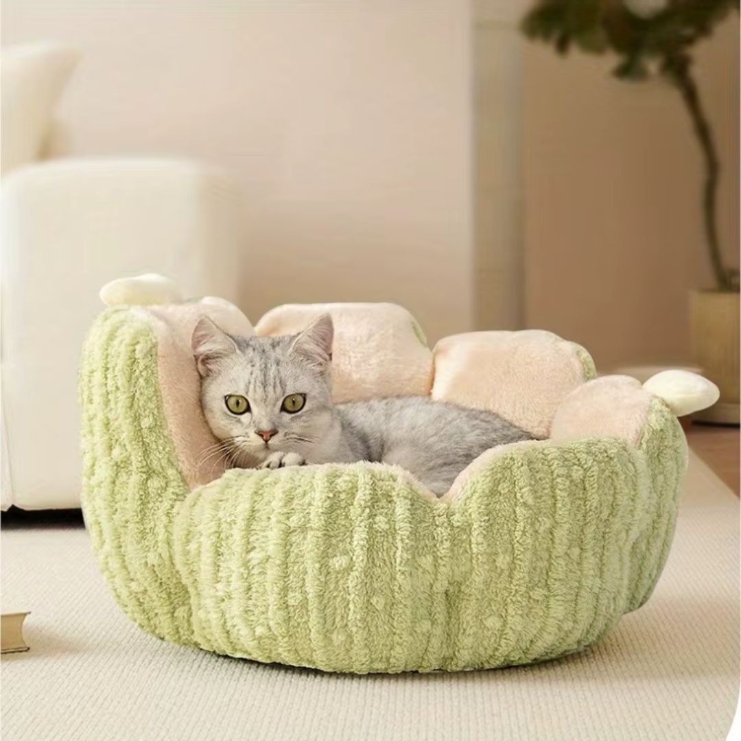 coussin en forme de cactus vert avec un chat se reposant dedans