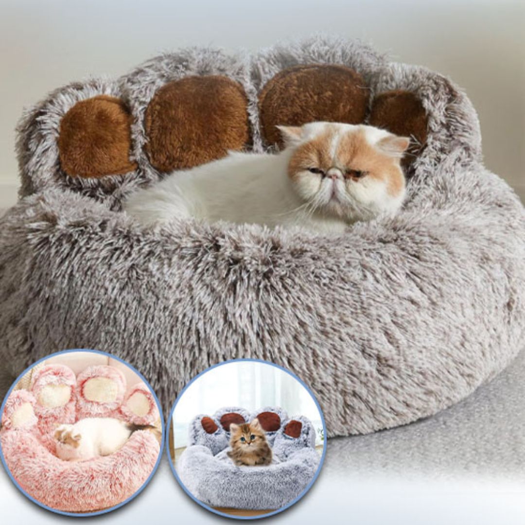 Coussin pour chat | COCONCATS™ - L'avenir des chats