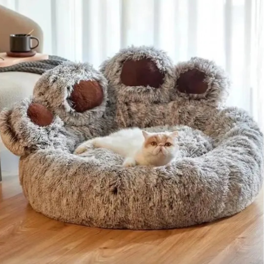 Coussin pour chat | COCONCATS™ - L'avenir des chats