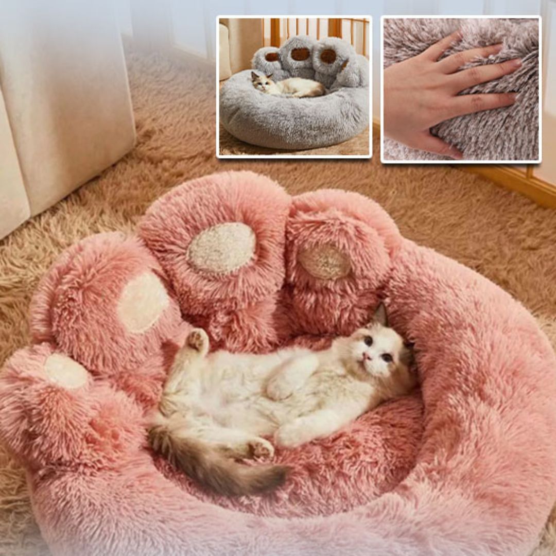 Coussin pour chat | COCONCATS™ - L'avenir des chats