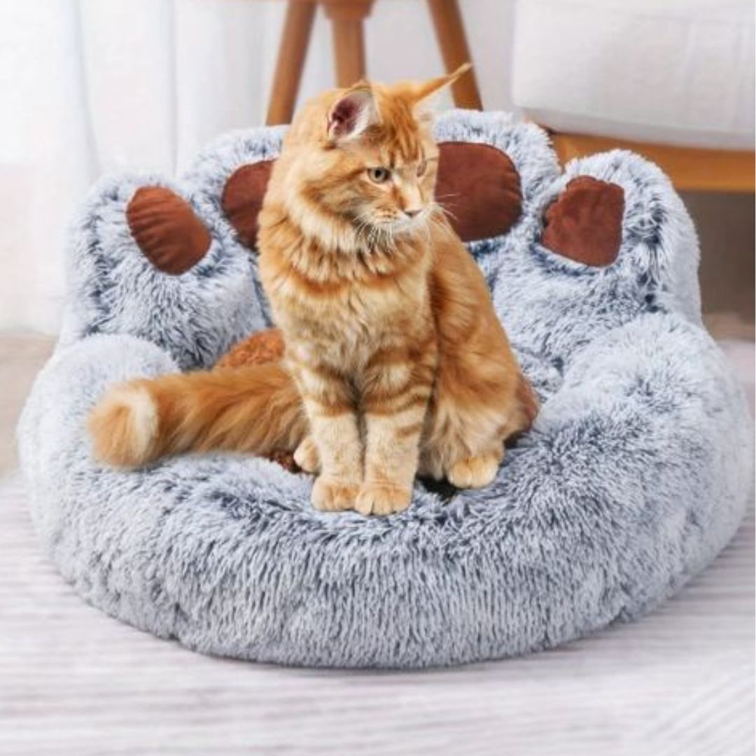 Coussin pour chat | COCONCATS™ - L'avenir des chats