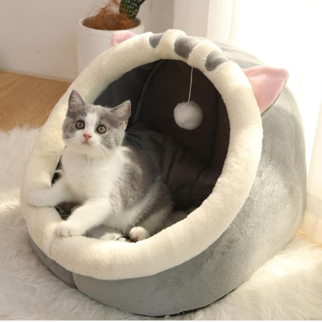 coussin avec un chat dedans de couleur gris et blanc