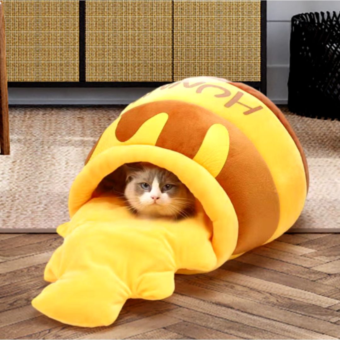 chat cacher dans le coussin en forme de pot de miel jaune et marron