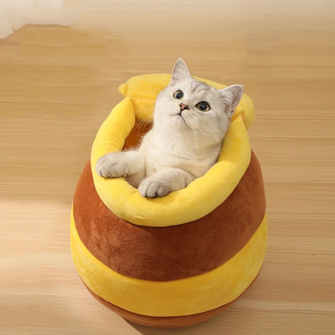 chat content dans le coussin miel jaune