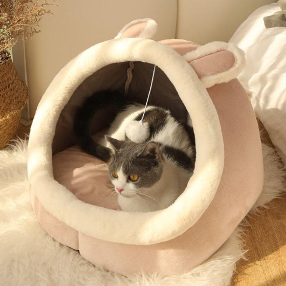 coussin en forme de lapin rose avec un chat blanc et gris dedans se reposant