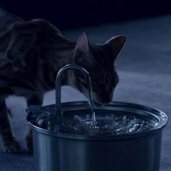 Fontaine a eau chat | AcofoCats™ - L'avenir des chats