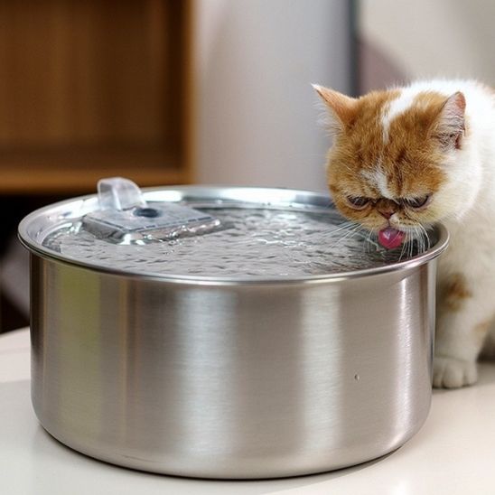 Fontaine a eau chat | AcofoCats™ - L'avenir des chats