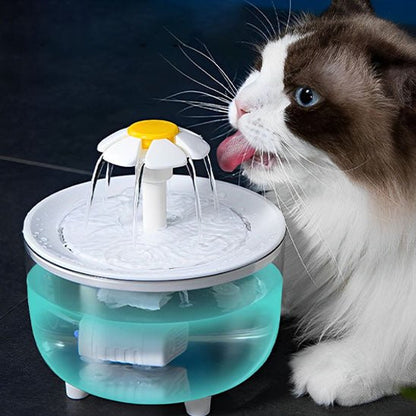 Fontaine a eau chat | FontauCats - L'avenir des chats