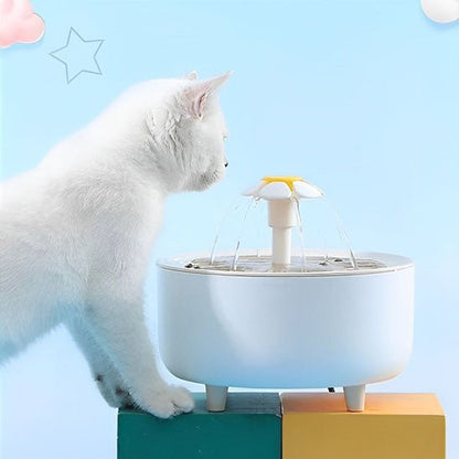 Fontaine a eau chat | FontauCats - L'avenir des chats