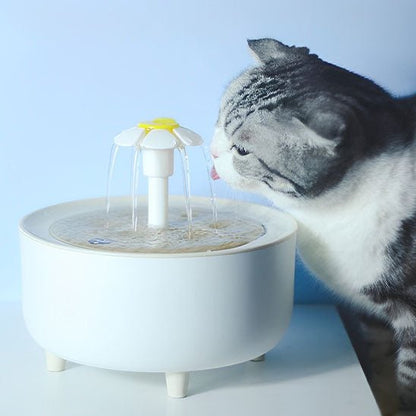 Fontaine a eau chat | FontauCats - L'avenir des chats