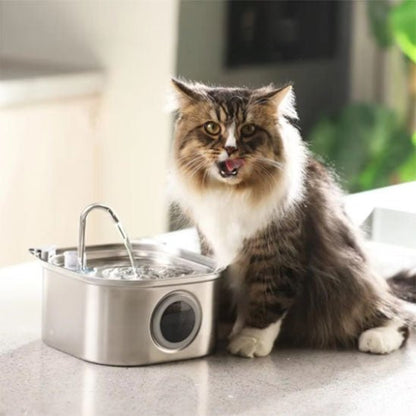 Fontaine a eau chat | FontiCats™ - L'avenir des chats