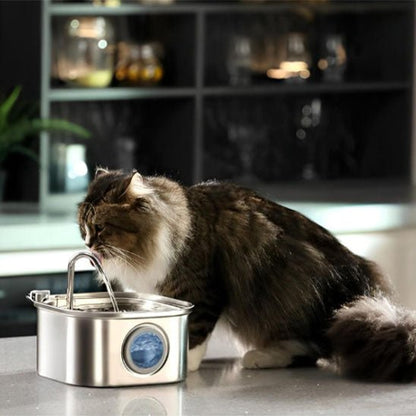 Fontaine a eau chat | FontiCats™ - L'avenir des chats