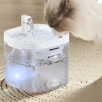 Fontaine a eau chat | FotraCats™ - L'avenir des chats